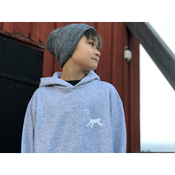 Kids hoodie Grey